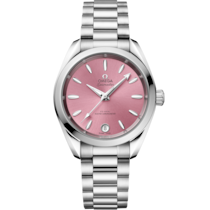 Seamaster Aqua Terra Shades 34 mm, steel on steel - 22010342010003